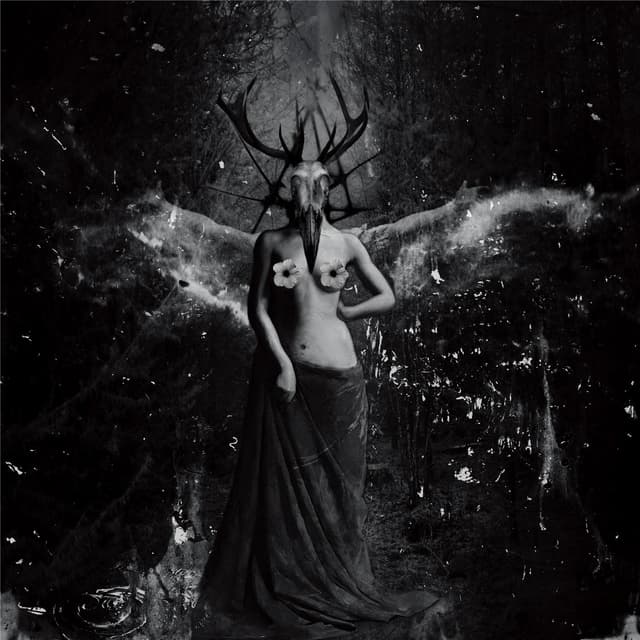 Album cover art for Klĭtôrĭs