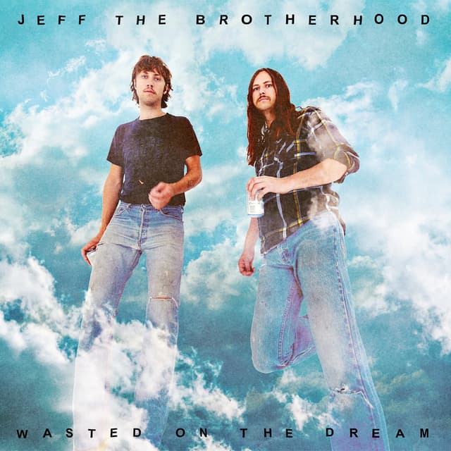 Album cover art for Wasted on the Dream