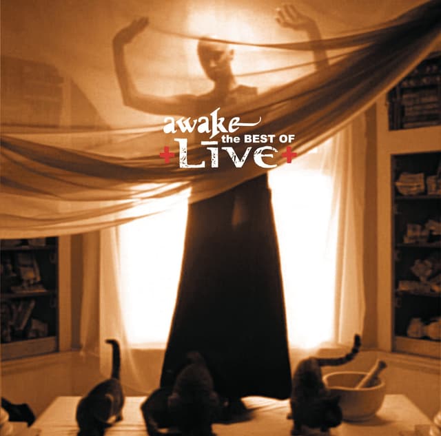 Album cover art for Awake - The Best of