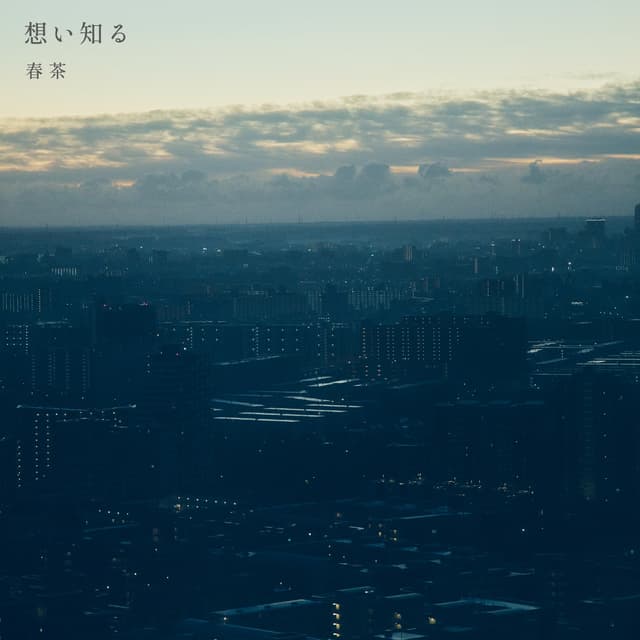Album cover art for 想い知る