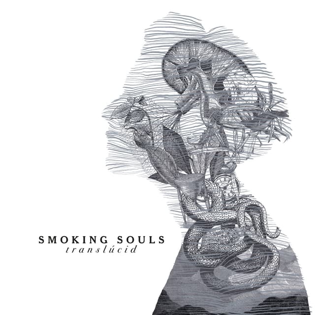 Album cover art for Translúcid