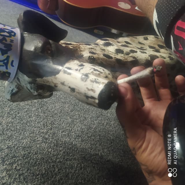 Album cover art for El Perro