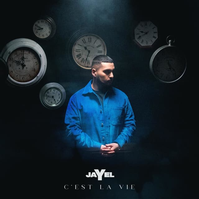 Album cover art for C'est la Vie