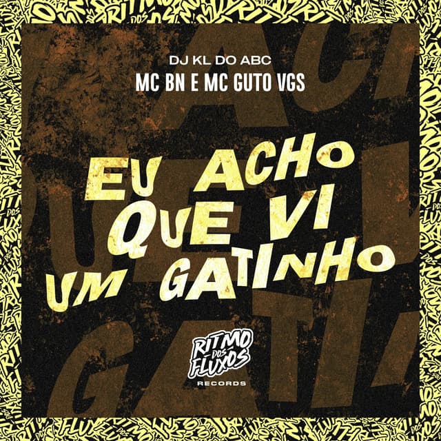 Album cover art for Eu Acho Que Vi um Gatinho