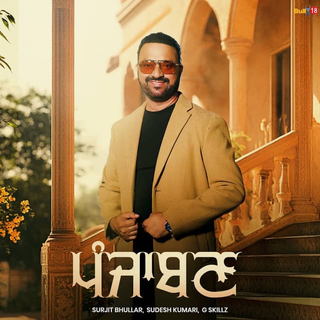 Album cover art for Punjaban