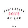 Who's Gonna Love Me Now