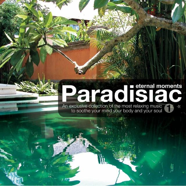 Album cover art for Paradisiac Music