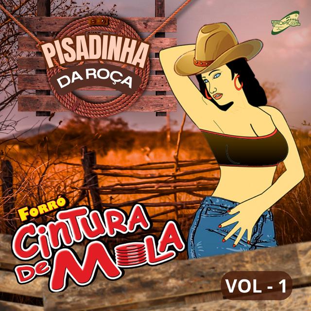 Album cover art for Na Pisadinha da Roça, Vol.1