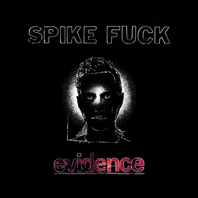 Album cover art for evidence