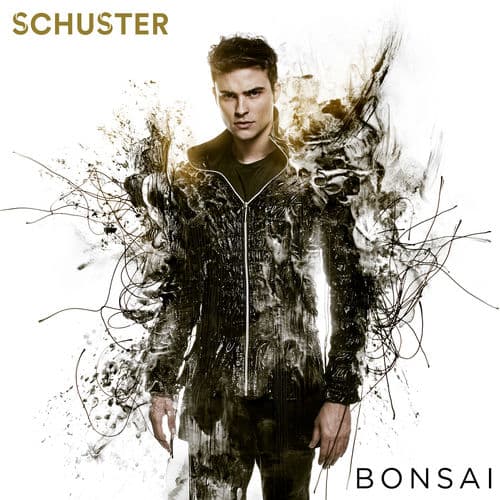 Album cover art for Bonsai