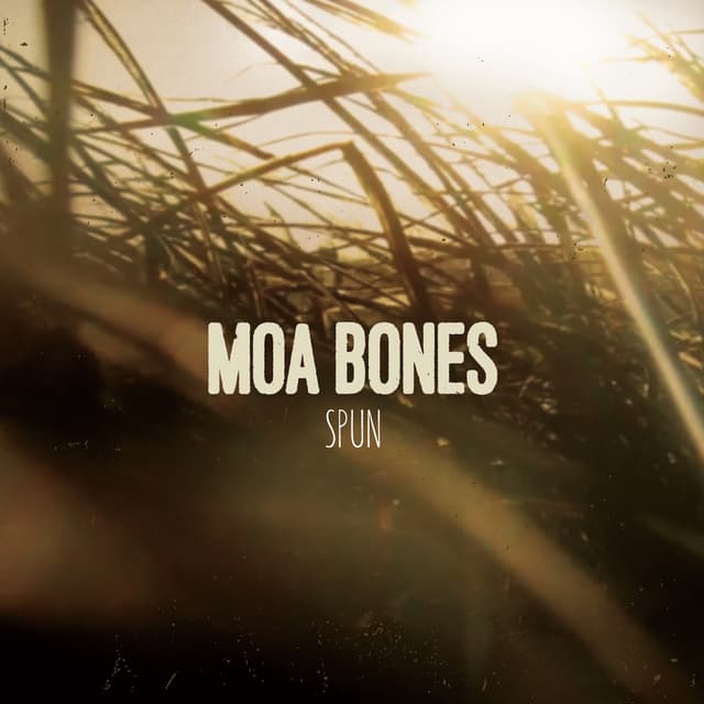 Album cover art for Spun