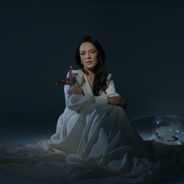 Album cover art for Printre stele