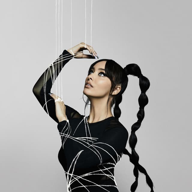 Album cover art for Puppet