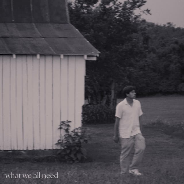 Album cover art for what we all need