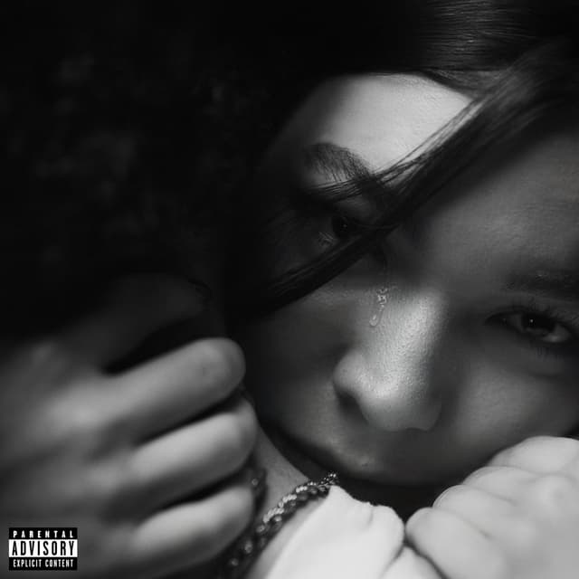 Album cover art for Aviso De Despido