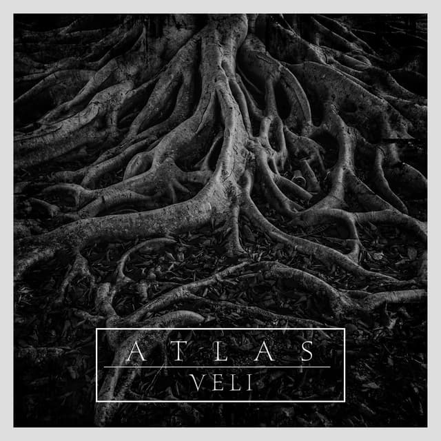 Album cover art for Veli