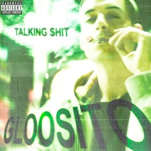 Album cover art for Talking Shit