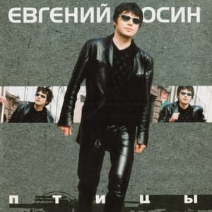 Album cover art for Птицы