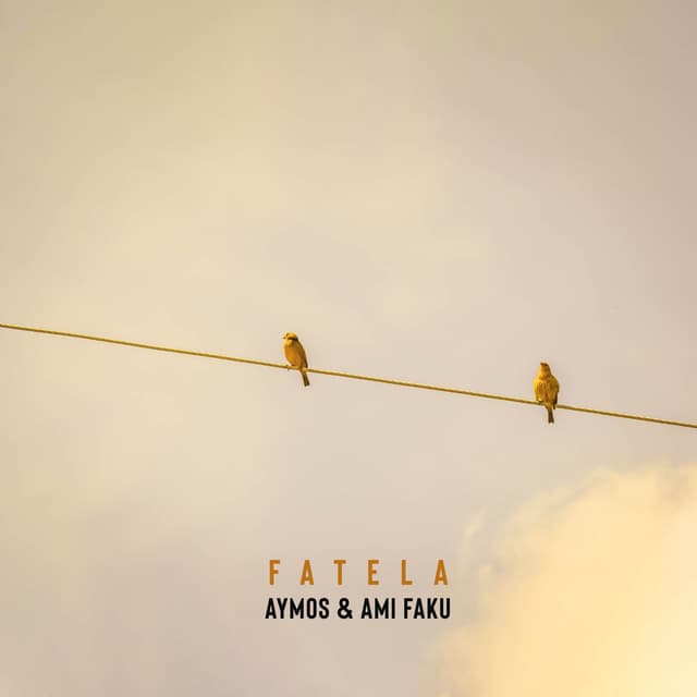 Album cover art for Fatela