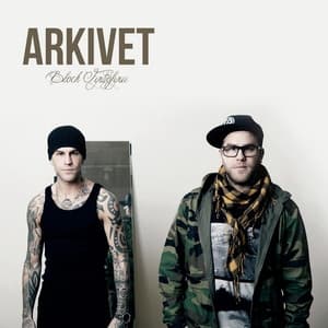 Album cover art for ARKIVET