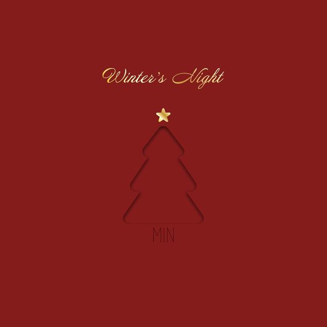 Album cover art for Winter's Night