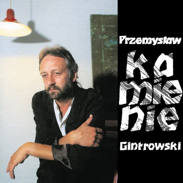 Album cover art for Kamienie