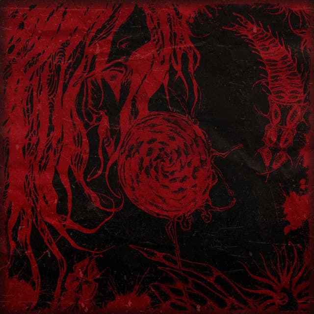 Album cover art for Сплю или живу