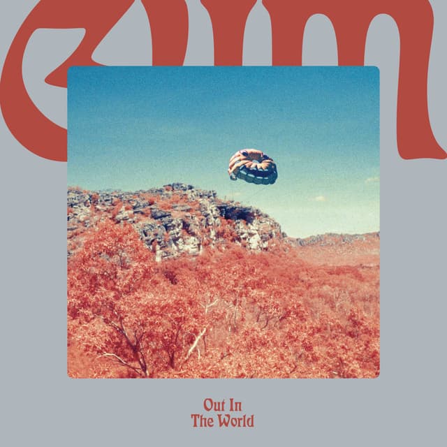 Album cover art for Out in the World