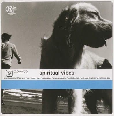 Album cover art for Spiritual Vibes