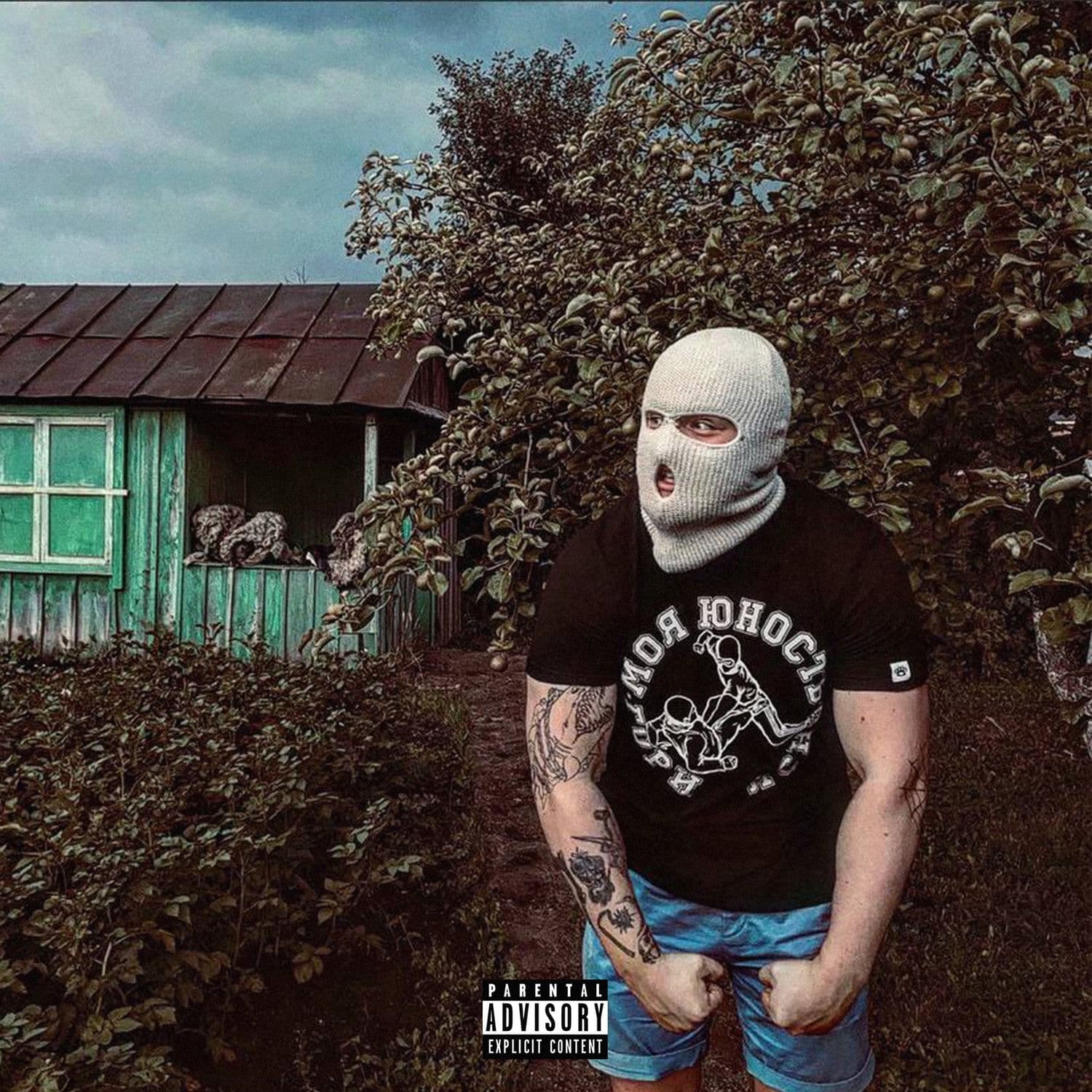 Lyric cover art