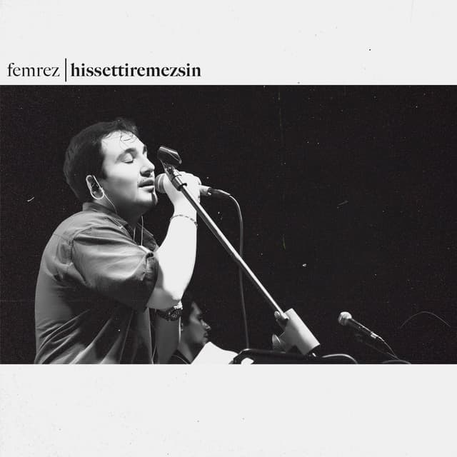Album cover art for hissettiremezsin