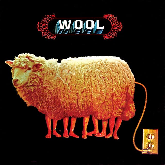 Album cover art for Wool