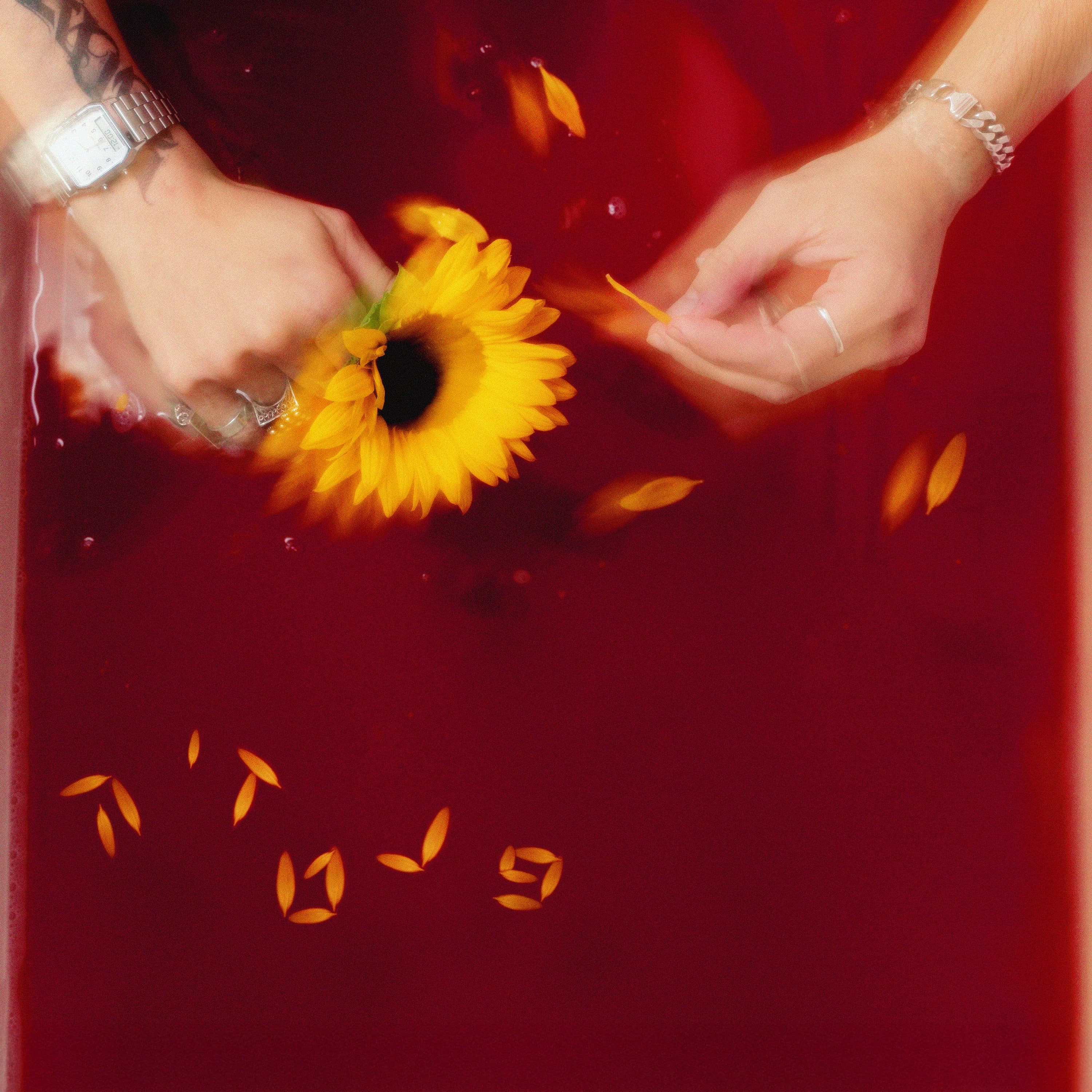 Lyric cover art