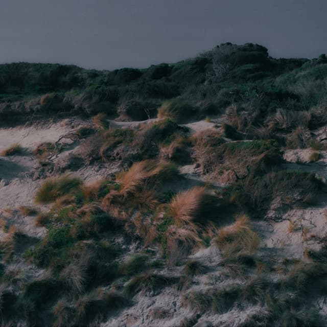 Album cover art for Riptide