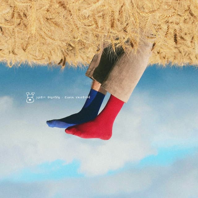 Album cover art for Amor de Cão