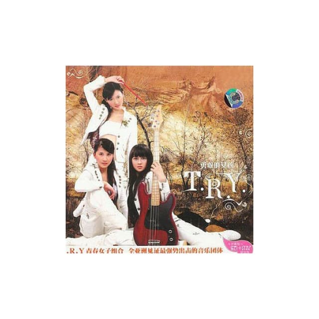 Album cover art for 勇敢的女孩