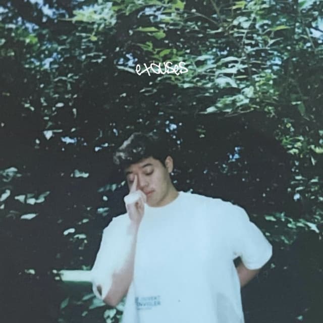 Album cover art for Excuses