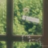 봄 내음보다 너를 A Letter For You (A Letter For You)