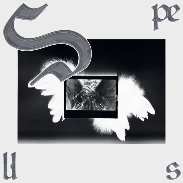 Album cover art for Spells