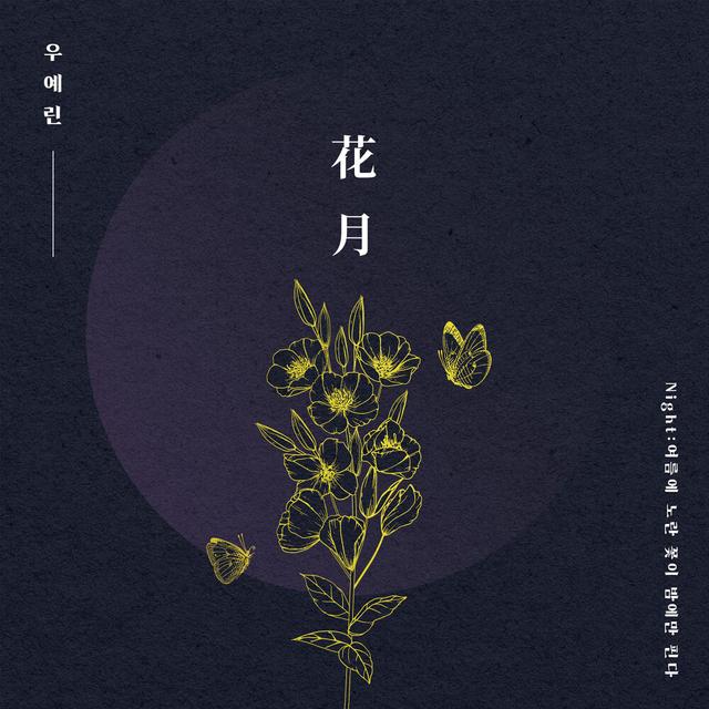 Album cover art for Night : 여름에 노란 꽃이 밤에만 핀다