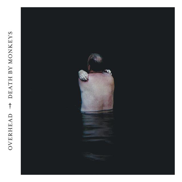 Album cover art for Death By Monkeys