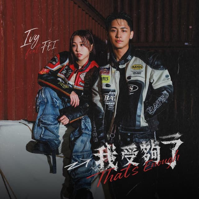Album cover art for 我受夠了