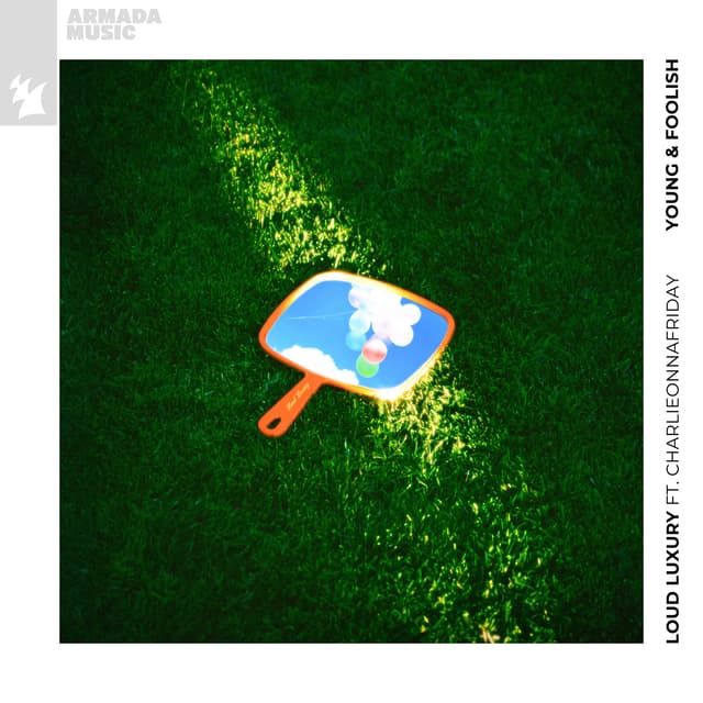 Album cover art for Young & Foolish
