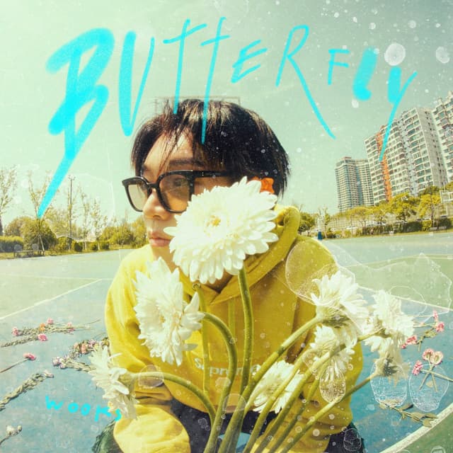 Album cover art for Butterfly
