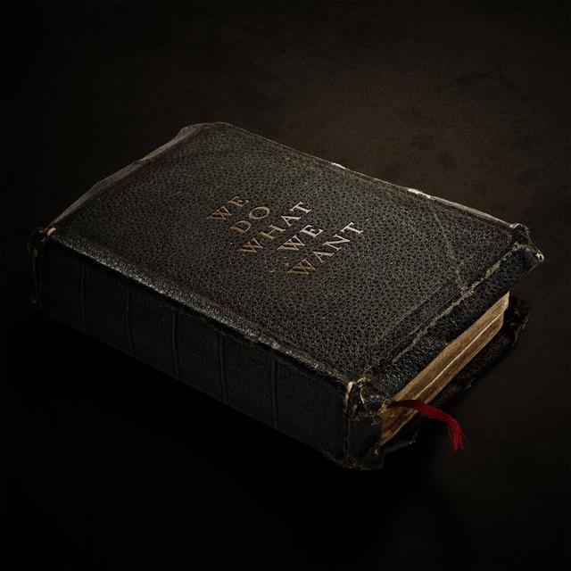 Album cover art for We Do What We Want