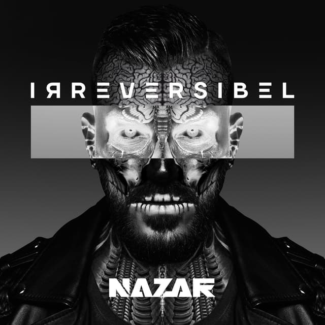 Album cover art for Irreversibel