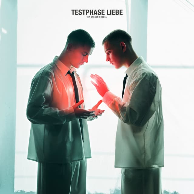 Album cover art for Testphase Liebe