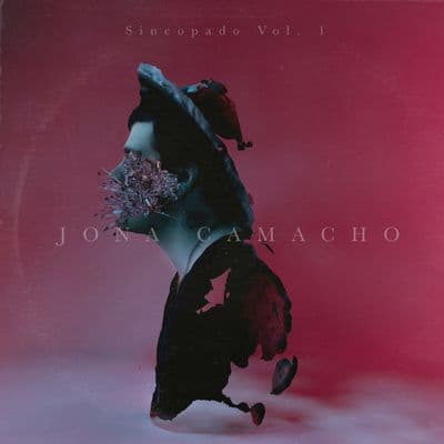 Album cover art for Sincopado Vol. 1