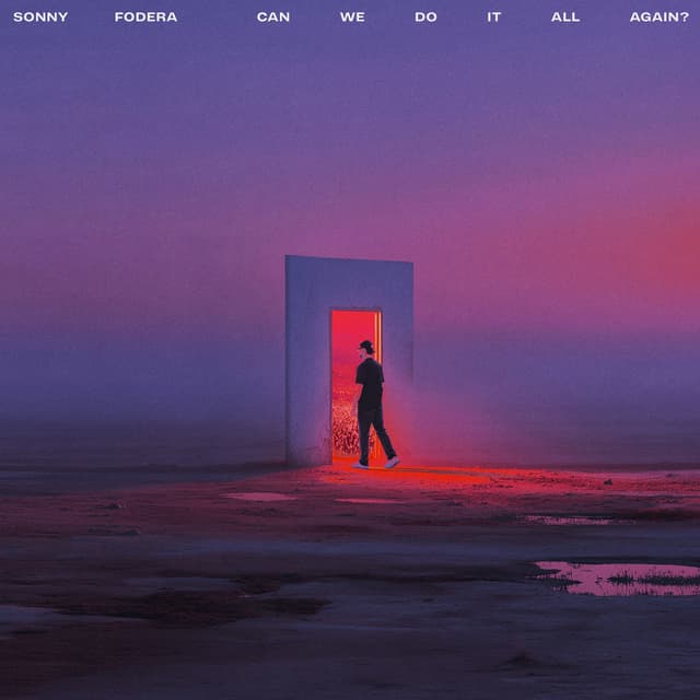 Album cover art for can we do it all again?