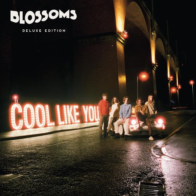 Album cover art for Cool Like You